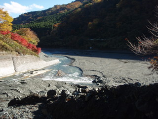 PB190008.JPG