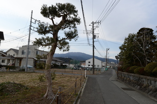 DSC_0004.JPG