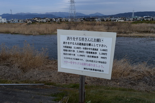 DSC_0024.JPG