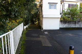 DSC_0032.JPG