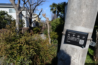 DSC_0033.JPG