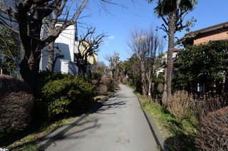 DSC_0034.JPG