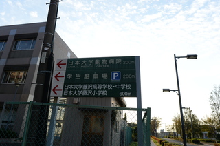 DSC_0041.JPG
