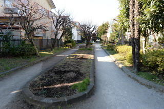 DSC_0049.JPG