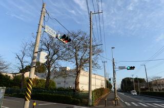 DSC_0053.JPG