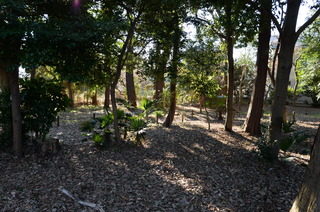DSC_0072.JPG