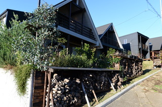 DSC_0076.JPG