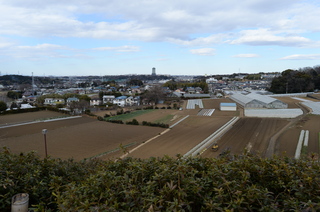 DSC_0078.JPG
