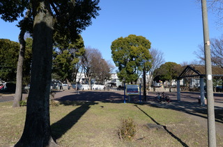 DSC_0079.JPG