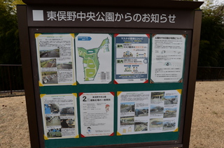DSC_0084.JPG