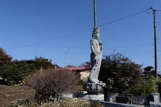 DSC_0098.JPG