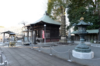 DSC_0106.JPG