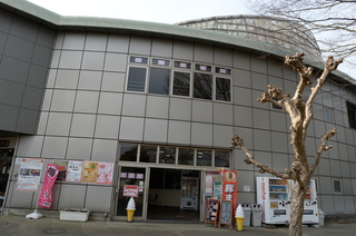 DSC_0108.JPG