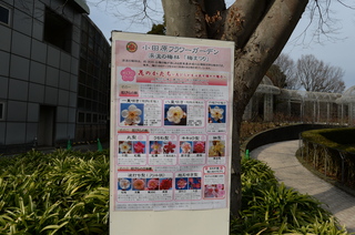 DSC_0109.JPG