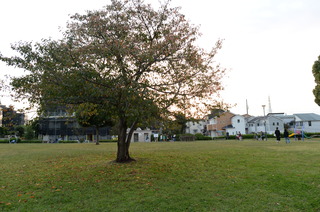 DSC_0114.JPG