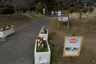 DSC_0123.JPG