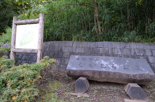 DSC_0123.JPG