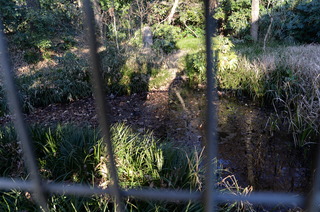 DSC_0146.JPG