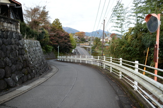 DSC_0179.JPG