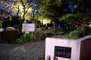 DSC_0217.JPG