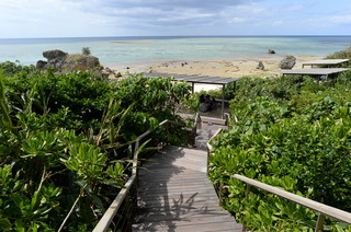DSC_0227.JPG