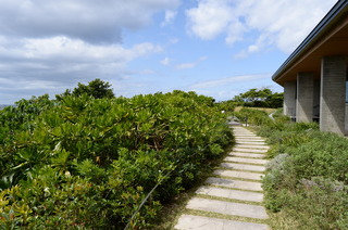DSC_0237.JPG