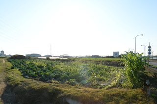 DSC_0399.JPG