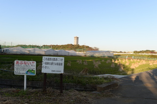 DSC_0447.JPG