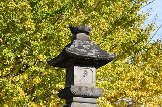 DSC_0452.JPG