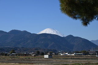 DSC_0505.JPG