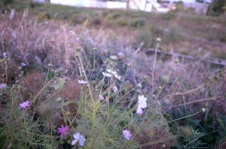 DSC_0591.JPG
