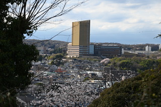 DSC_0616.JPG