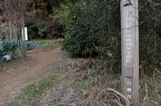 DSC_0742.JPG