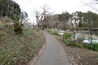 DSC_0746.JPG