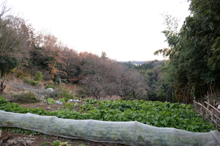 DSC_0766.JPG