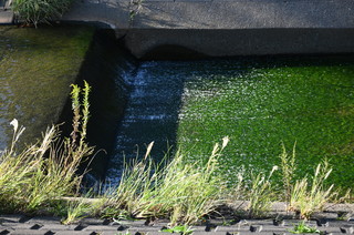DSC_0801.JPG