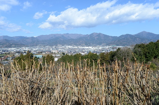 DSC_0828.JPG