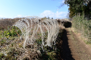 DSC_0840.JPG