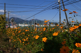 DSC_0846.JPG