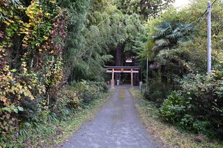 DSC_0879.JPG
