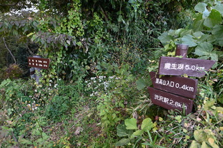 DSC_0946.JPG