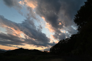 DSC_0965.JPG