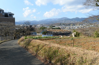 DSC_0974.JPG