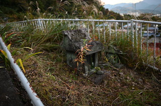 DSC_0986.JPG