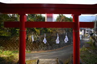 DSC_1000.JPG