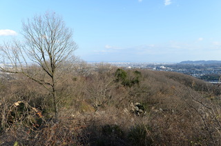 DSC_1013.JPG