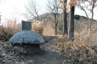 DSC_1015.JPG