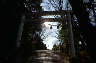 DSC_1087.JPG