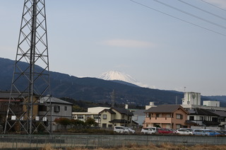 DSC_1155.JPG