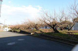 DSC_1166.JPG